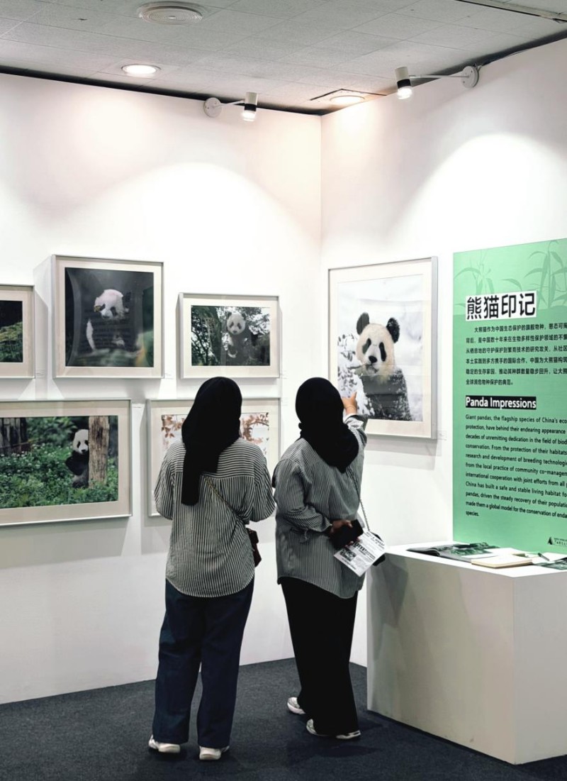 图片 4.jpg