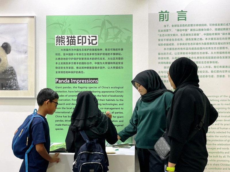图片 5.jpg
